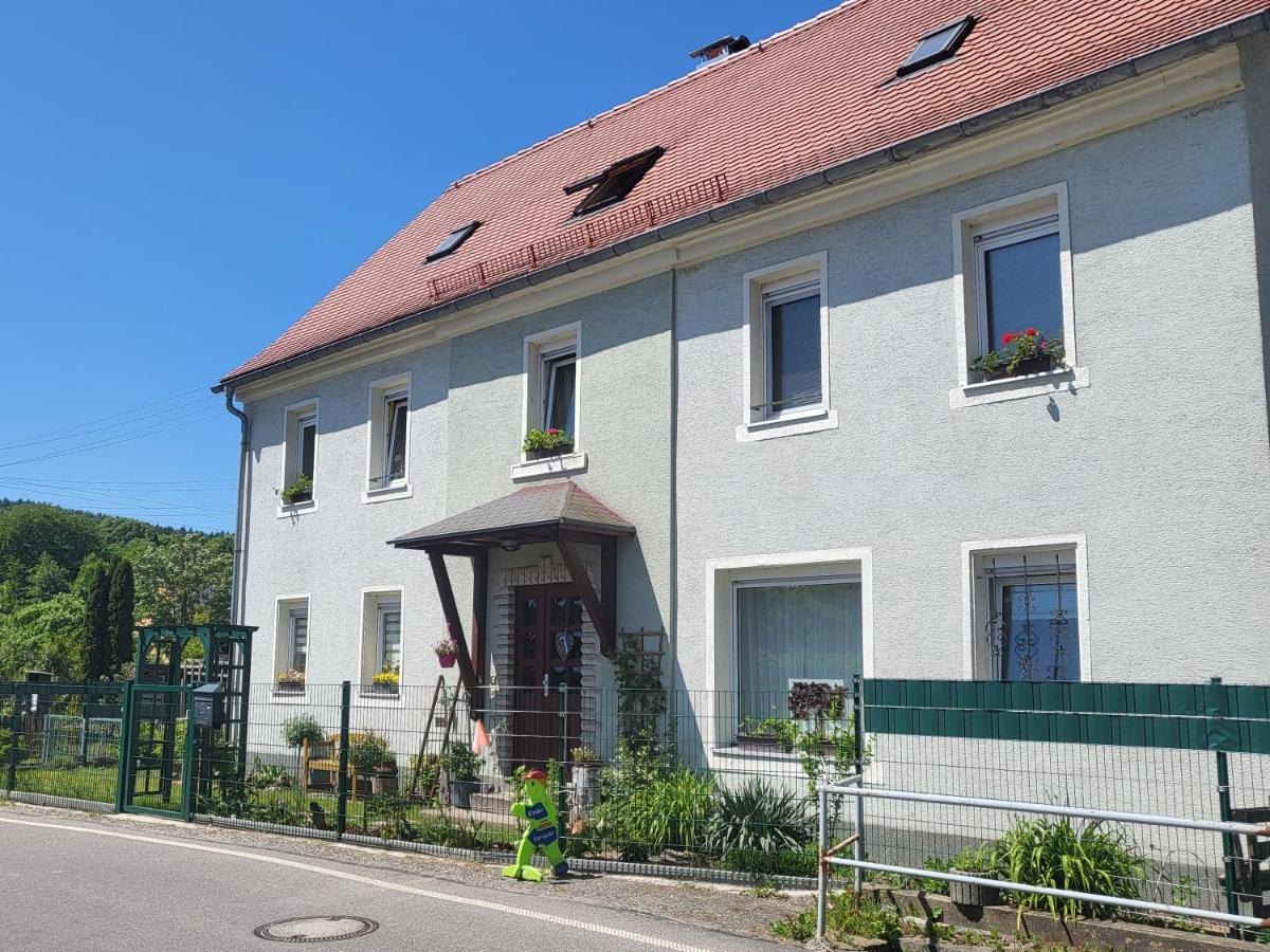 Ferienwohnung Simmert Kurort Gohrisch Εξωτερικό φωτογραφία
