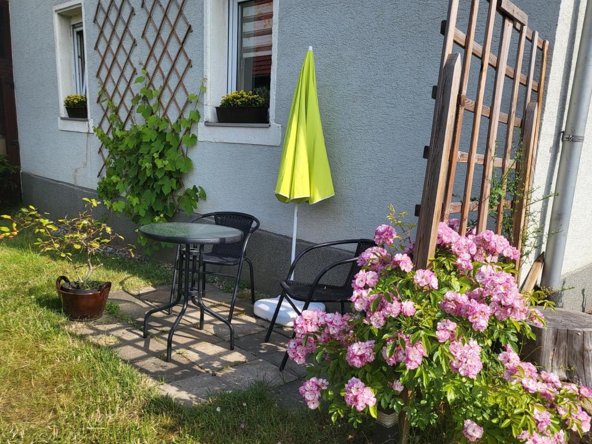 Ferienwohnung Simmert Kurort Gohrisch Εξωτερικό φωτογραφία